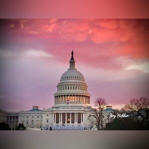 Pink and Lavender U.S. Capitol Photography 8x10